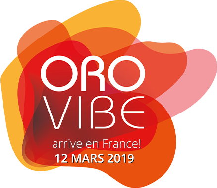 vibe-logo-fr